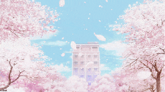 这场雪后,武汉的樱花,一定会开得比往年更加烂漫.