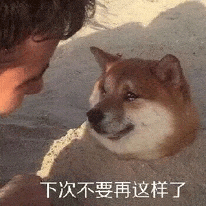 沙雕表情包:今年过节不收礼,收礼只收男朋友!