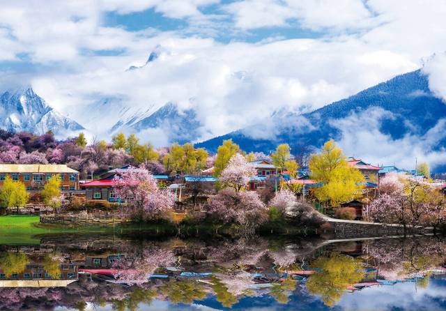 西藏疫情归零!期待疫情早日结束,赴林芝开启世外桃源春天之旅