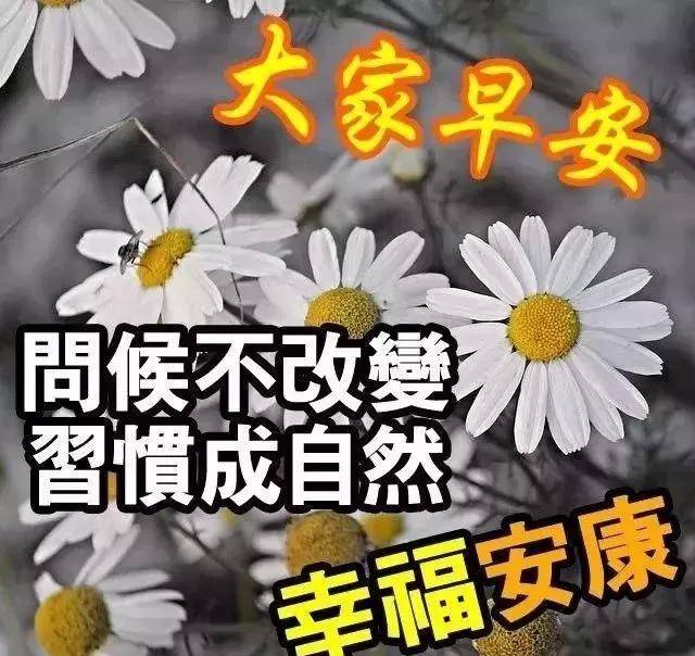 不要轻易虚度每一天的光阴,因为那都是你余生中的第一天,早上好