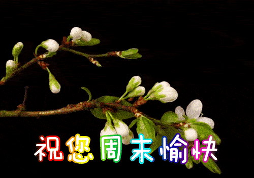 2020正月二十三早安祝福语 周日早上好问候表情图片带