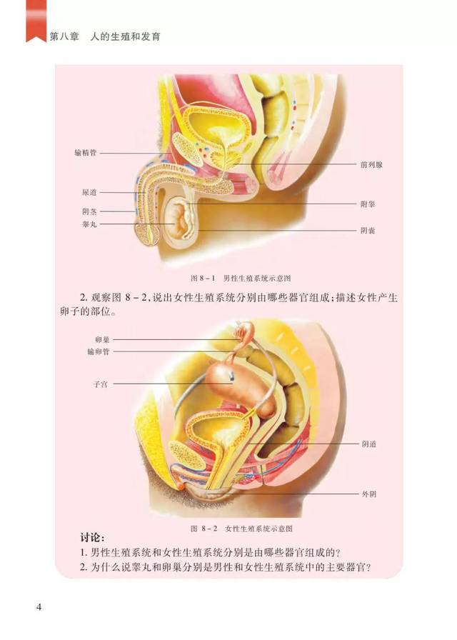 苏教版八年级生物下册电子课本(高清版)