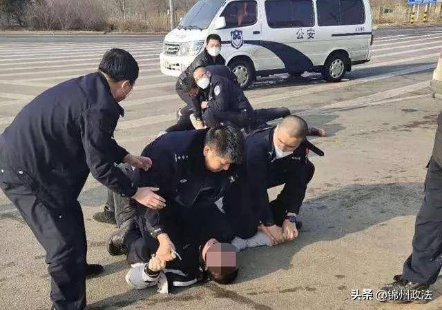 当日受理当日批捕:抚顺市首例涉疫情防控案件犯罪嫌疑