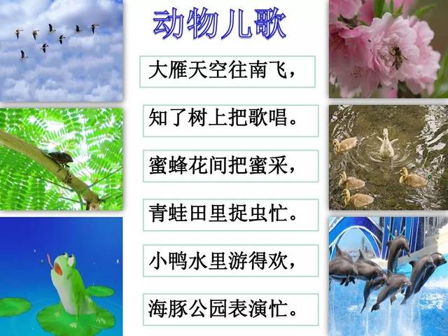 寒假预习|部编一年级语文下册识字5《动物儿歌》知识点 图文讲解