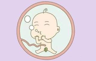 宝宝在妈妈肚子里时被称为胎儿,胎儿在准妈妈肚子如何吃的秘密是什么