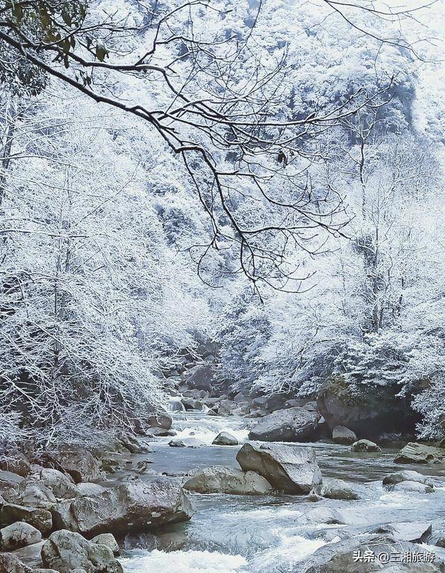 株洲迎来2020年首场瑞雪,家门口的雪景真美