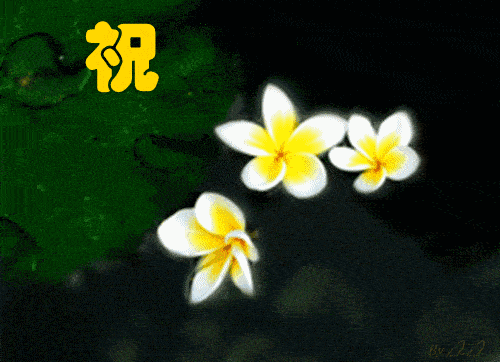 2020年2月16日微信晚安祝福语句子 非常漂祝福动态表情图片带字