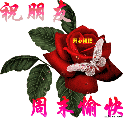 抛开往日的烦恼,让这个周末不在寻常,幸福开心健康!早安