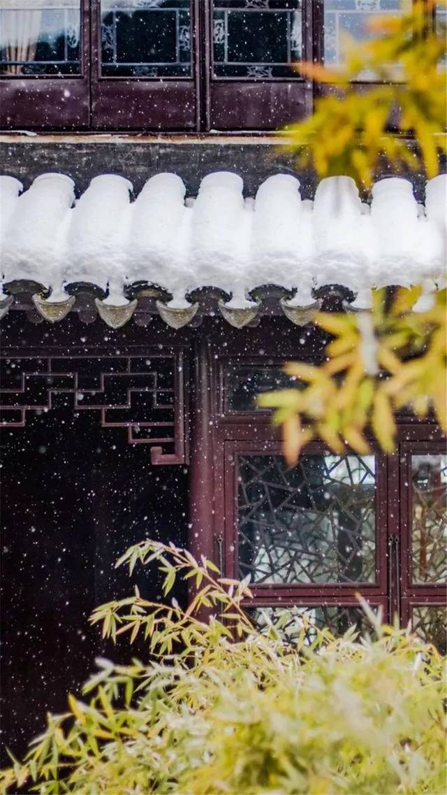 "西窗听雨吟,庭院观雪舞."