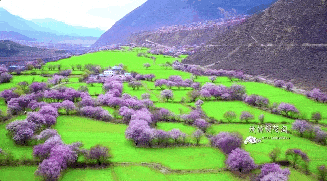 640_354gif 动态图 动图