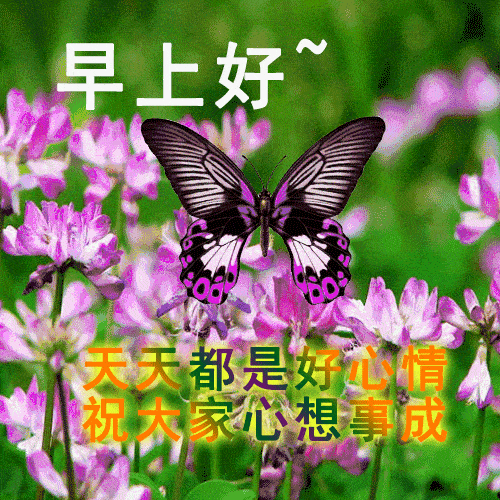 إƯϺö̬ͼƬ,Ϻʺף¼