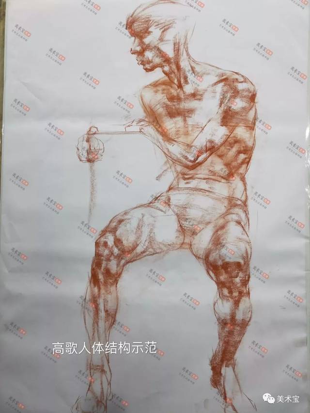 美术宝超级名师高歌——速写抓形老不准?练好人体结构