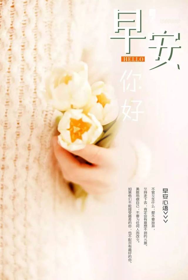 周二早安心语正能量感悟语录句子 温馨早上好图片带字