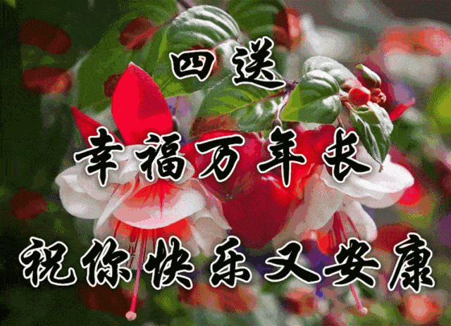 早上好!早起送你吉祥歌,愿你每天都快乐_手机搜狐网
