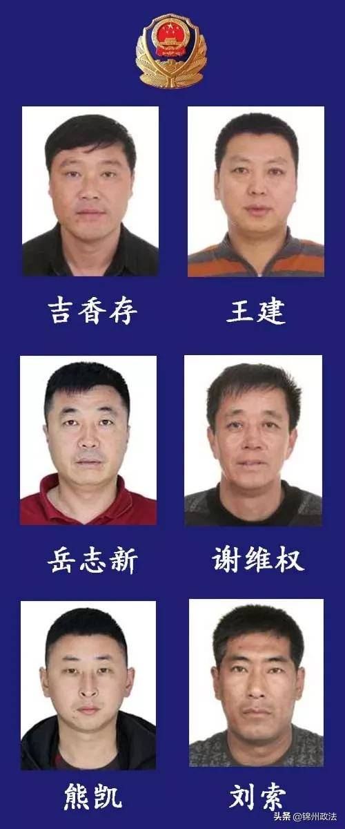 锦州市公安局"509"专案组关于公开征集"吉香存,王建等人"犯罪集团违法
