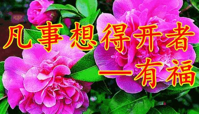 早上好,一首《真心的祝福》送给我的朋友,祝你平安健康每一天!