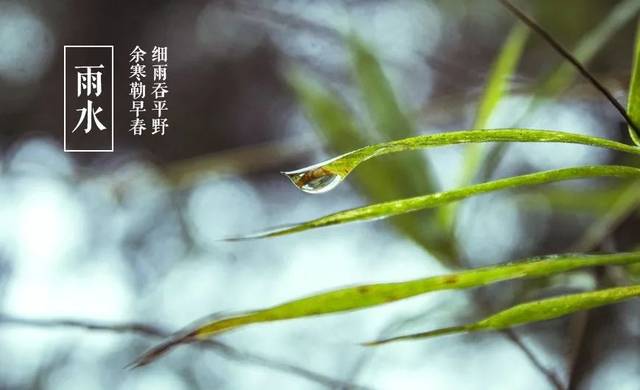 【诗词鉴赏】雨水 | 古诗词里的春雨,春雨足 染就一溪