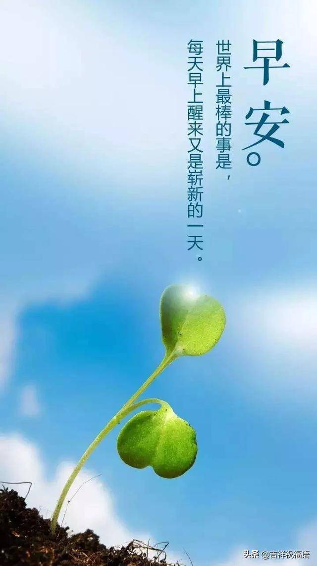 早安!新的一天,新的开始