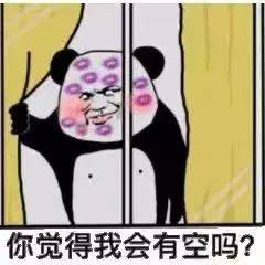 熊猫头表情包丨你觉得我会有空吗?