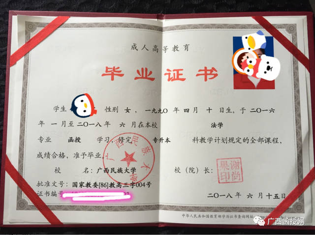 广西函授是大专?还是本科?