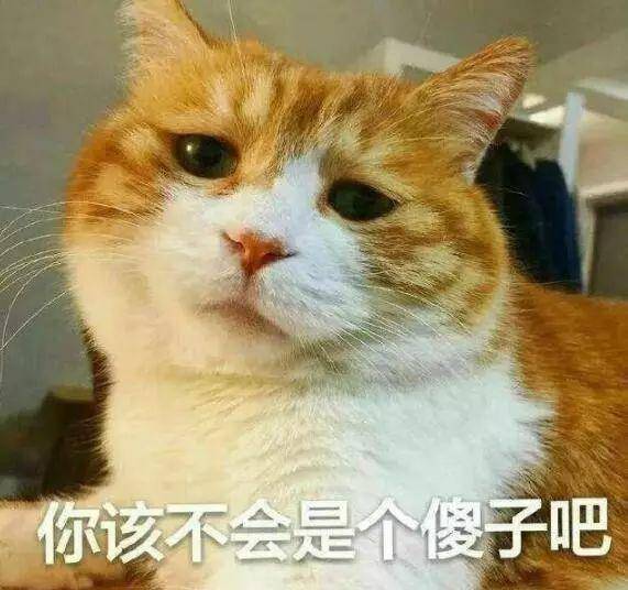 人类学猫"喵喵叫"的时候,猫们都在想什么?你可能搞错了