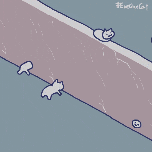 魔性猫猫表情包走红网络!
