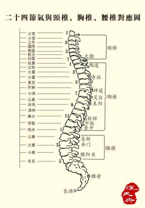 腰1椎 —— 雨水 对应范畴:大肠,输尿管,股四头肌,大腿前侧,大腿痛