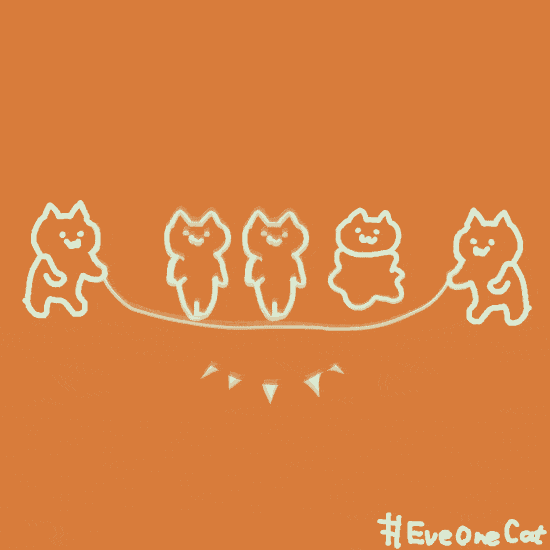 抖音上很火的猫猫表情包!