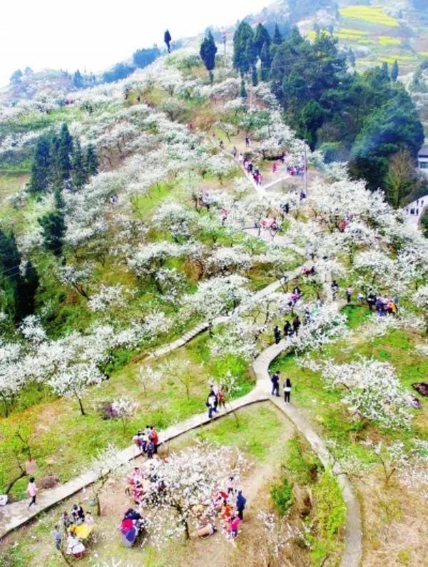 寻找邻水"最美乡镇"——柑子镇