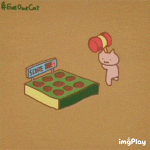 抖音超火的10个表情包:猫咪追火车,女朋友就是这样 一