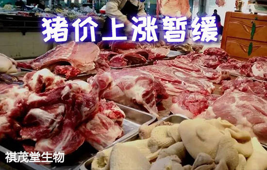 目前猪肉价格上涨暂缓,不过短期内猪价涨势还将重现!