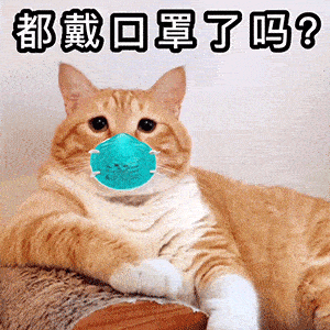 一罩难求!