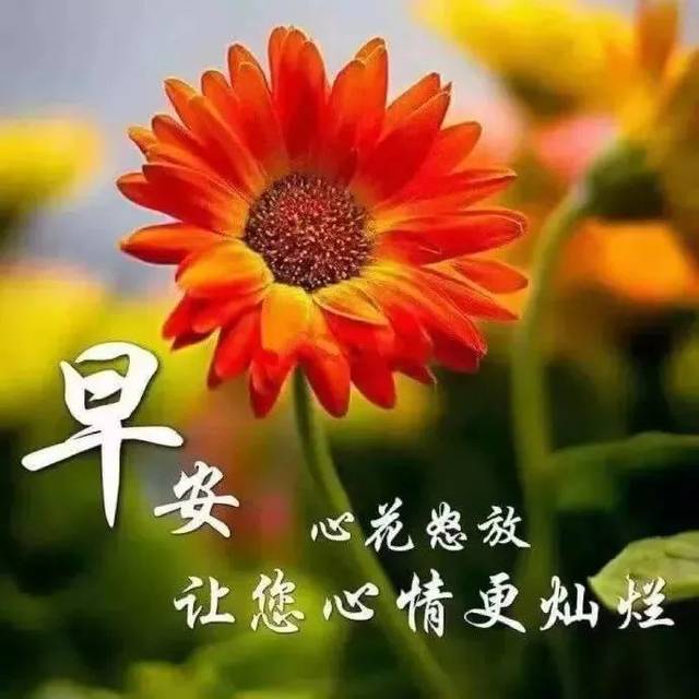 2月20日早上好动态美图问候祝福语 清早问候朋友的早安暖心祝福