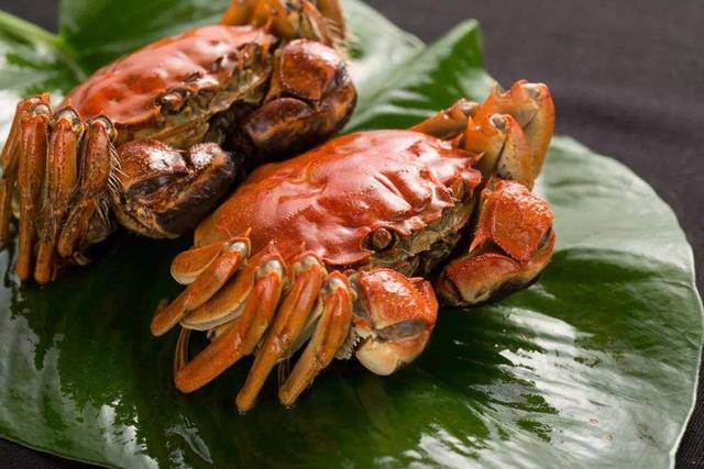 上海大闸蟹美食