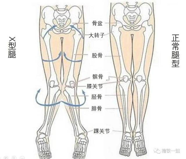 原创网红躺着就瘦的动作不光不减肥,还会让你骨盆前倾,变x型腿!