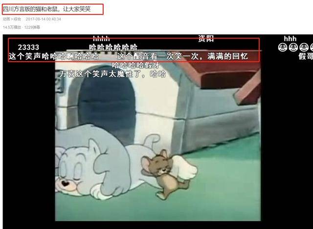 假老练,风车车,莽哥,不知