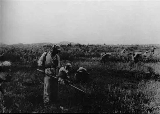 1951年,彭德怀司令员(右3)在朝鲜成川郡桧仓与邓华(右1),陈赓(右2)