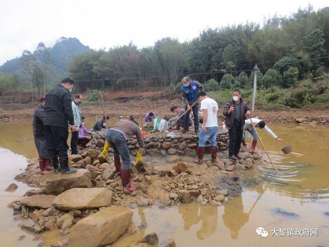 藤县大黎镇这个村准备变靓了!国安村战"疫"中抢建乡村振兴示范点