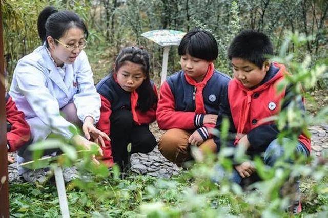 自然教育新机遇:中医药进校园,进农园