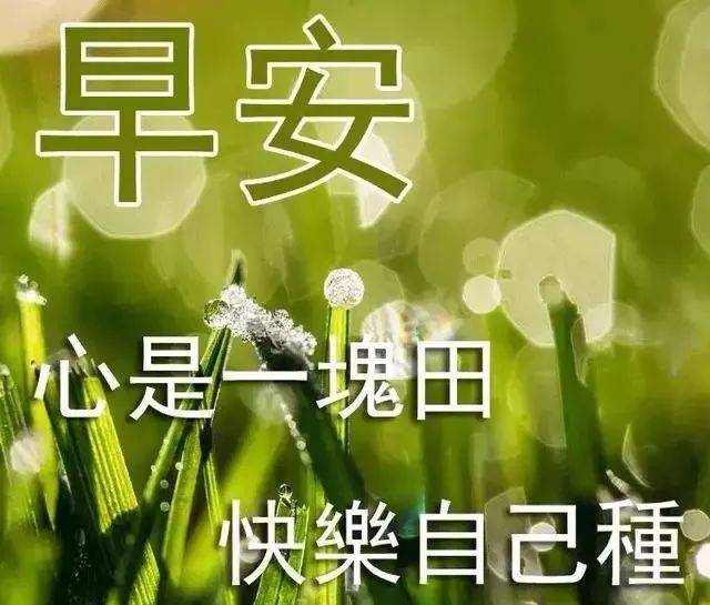 2月22日周六最美早安问候祝福语图片带字温馨句子,早安漂亮问候图片