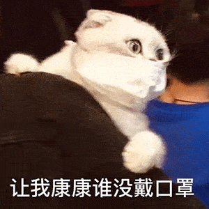 网购口罩又出新骗局!