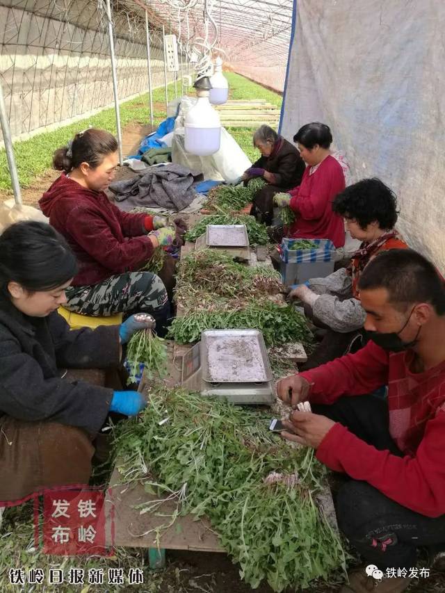开原城东人口_开原清河区虹姐