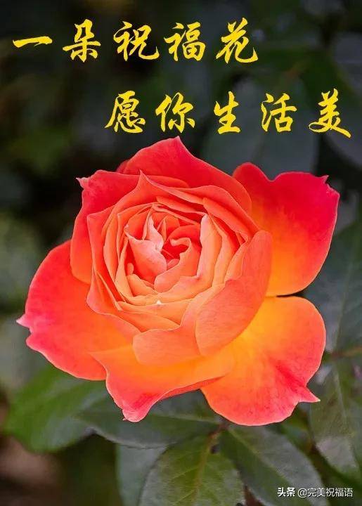 2月22日最新版早安问候祝福语录 最美早安祝福问候表情图片