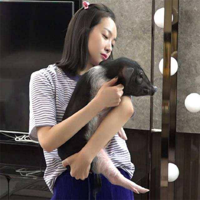 宋茜带经纪人上《闺女2》频频引发热议,网友:还没宠物猪有看头