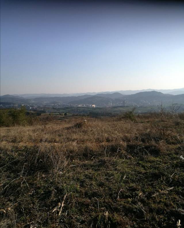 荒芜的乡村土地,一定是特别的原因让人们放弃你,大家也会有共鸣