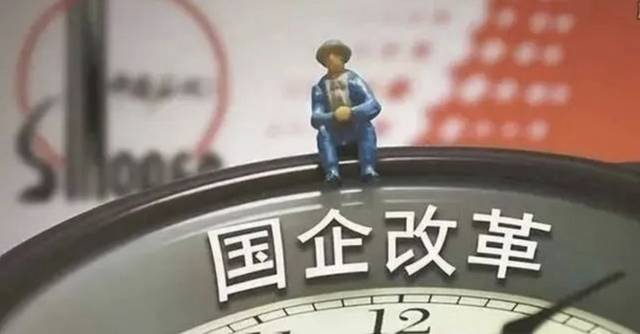 会批准,中国石油化工集团公司由全民所有制企业改制为国有独资公司
