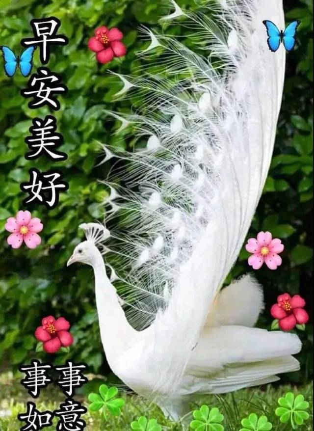 2月23日二月初一群发早上好问候祝福动态表情图片 春天最美早晨好问候
