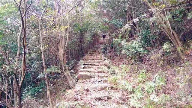 临崖远眺,群山巍峨,层峰叠嶂连绵,清晰可见乐清茗山,山巅庙宇雄伟.