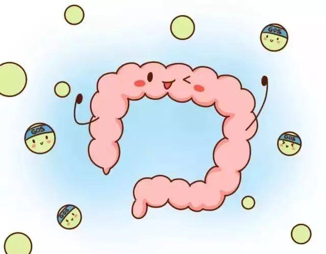 肠道是最大的加油站 人体95%以上的营养是靠肠道吸收的,日常饮食中,大