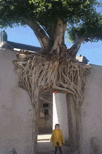 原创搞笑gif:在我面前不能看其他的女人,知道吗?只能看我